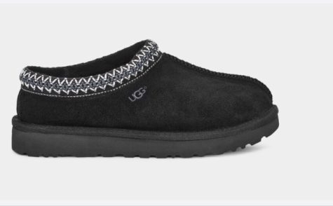 Ugg Slipper